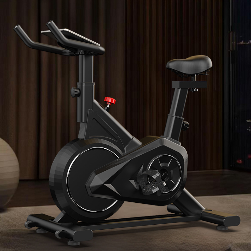 Exercise Bike Magnetic Resistance - Intelligentes Spinning Bike Home Indoor Mini