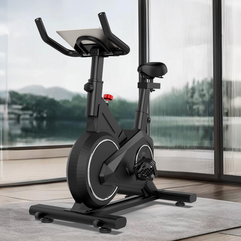Intelligentes Spinning Bike Ho – Exercise Bike Magnetic Resistance Bewertung und Preis