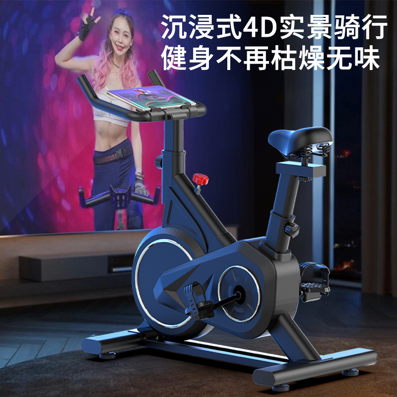 Intelligentes Spinning Bike Ho – Exercise Bike Magnetic Resistance Bewertung und Preis