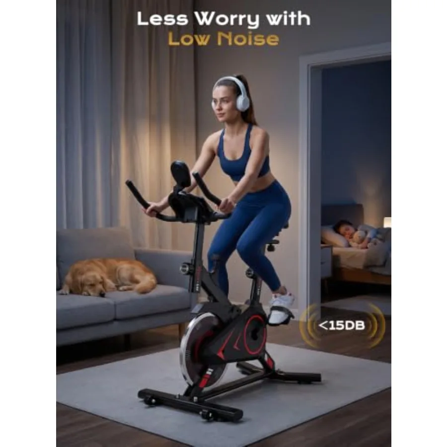 Heimtrainer für das Fitnessstu – Exercise Bike Magnetic Resistance Bewertung und Preis